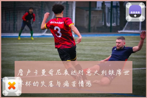 詹卢卡曼奇尼表达对意大利缺席世界杯的失落与痛苦情感